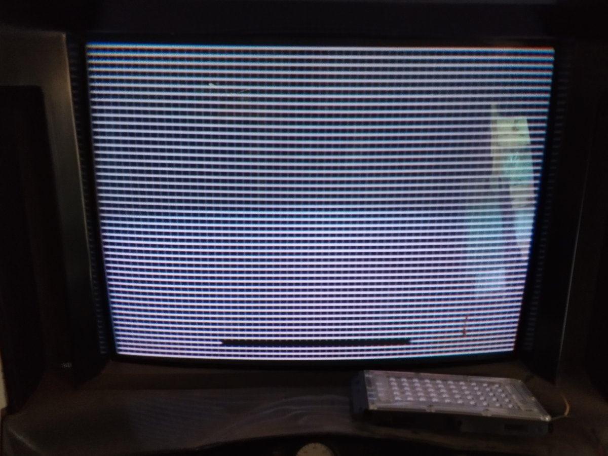 1000049374.jpg