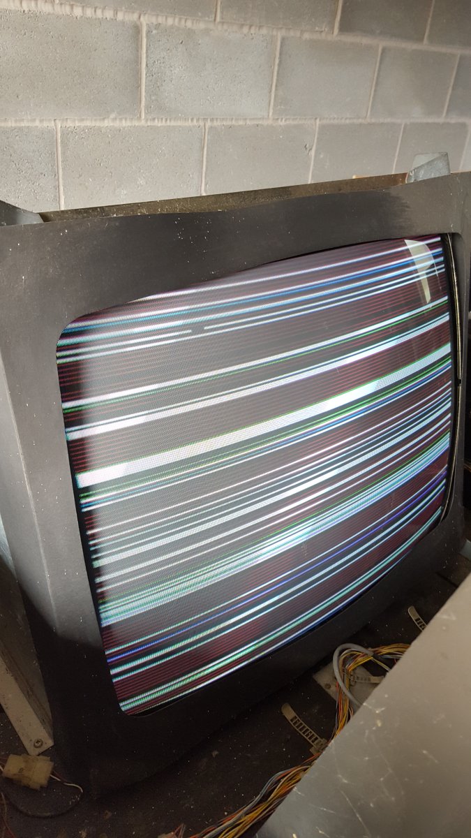 20220731_115440.jpg