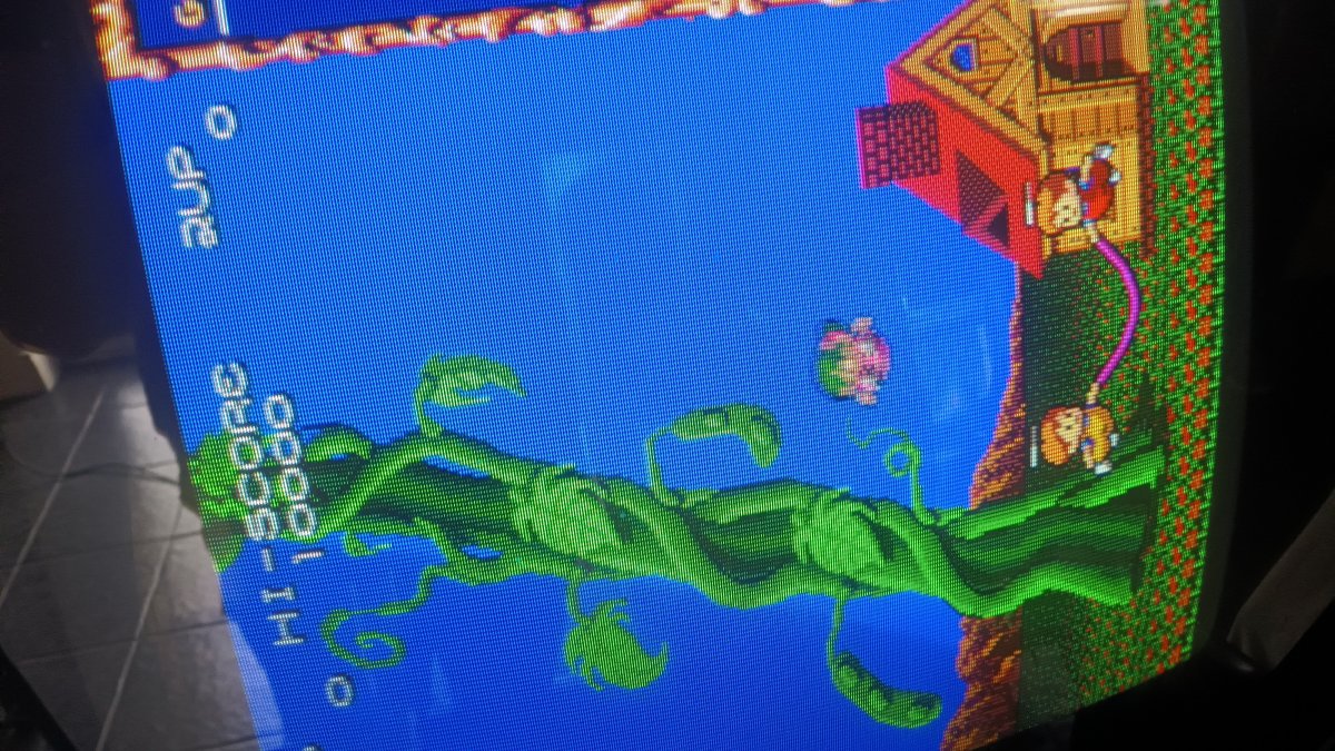 20240823_161047.jpg
