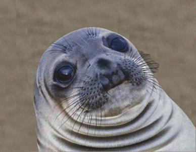 350A9AEA-72A8-4EF2-A98A-00B9C6ED1D88.gif