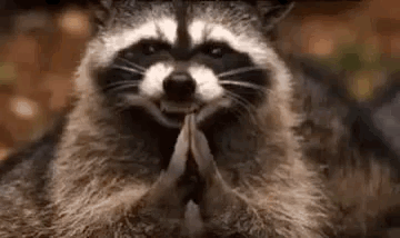 7F934DA8-B7D0-4A86-A0A8-FEDA4B78A7E3.gif