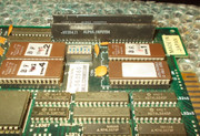 ALPHA-INPUT84-original.jpg