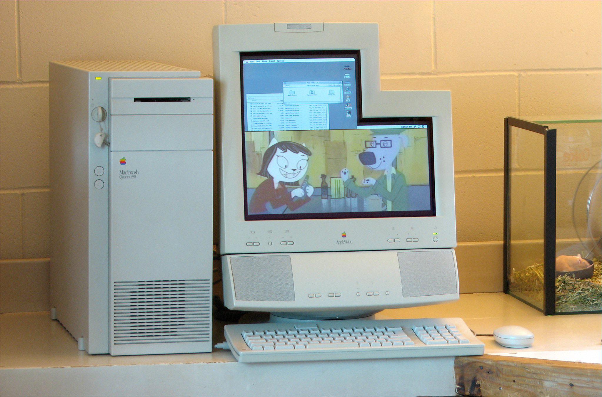 AppleVision Display L.jpg