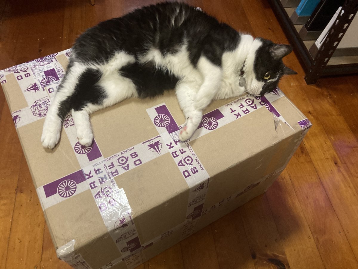 catmulti.JPG
