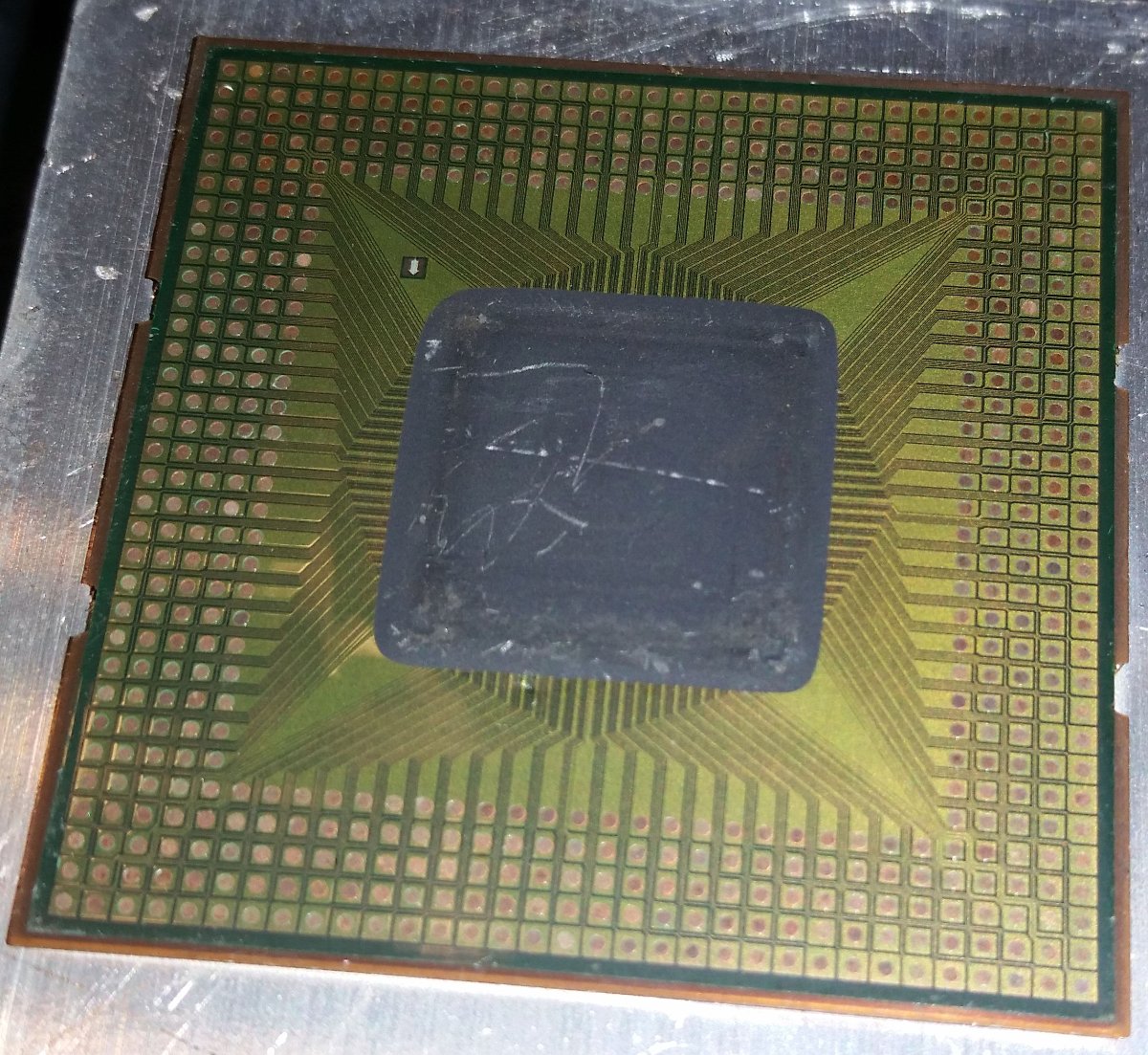 chip.jpg