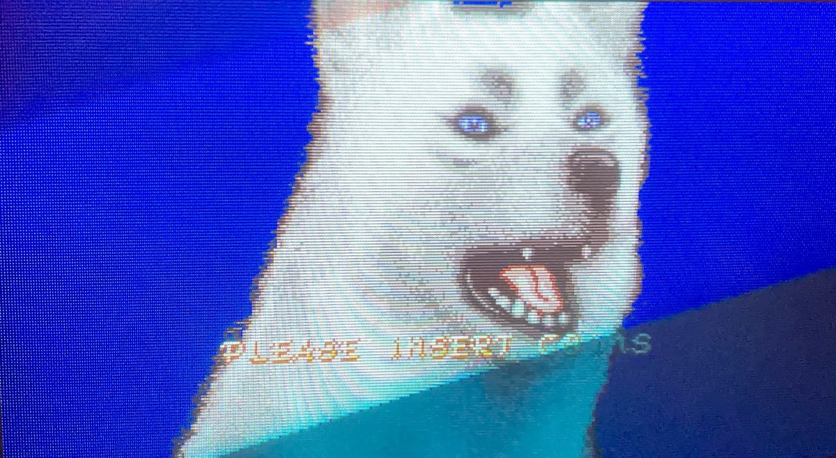 dfgfg.jpg