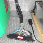 DSCN9774.jpg