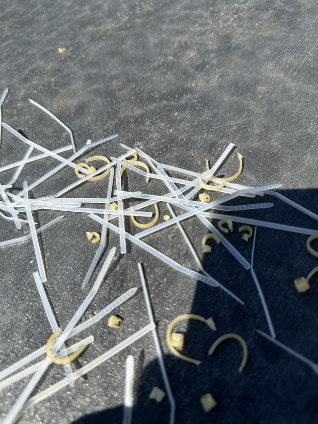 E8-F466-E7-66-B9-4-B24-806-B-991-FC46250-D0.jpg