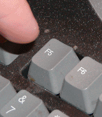 f9l6zhzil7v8.gif