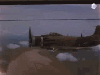 giphy.gif