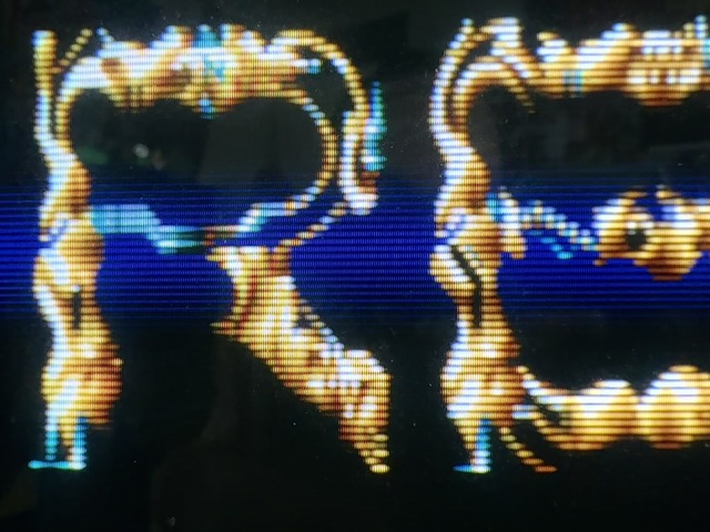 IMG_0469.jpeg