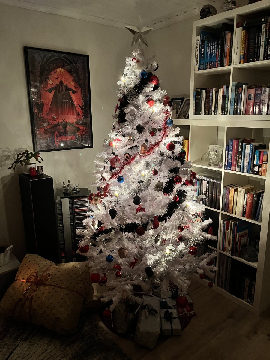IMG_2302.jpeg