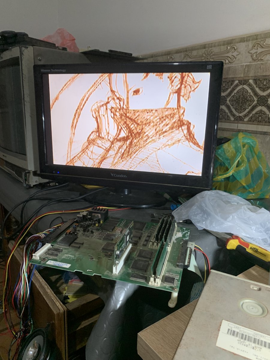IMG_4203.jpeg