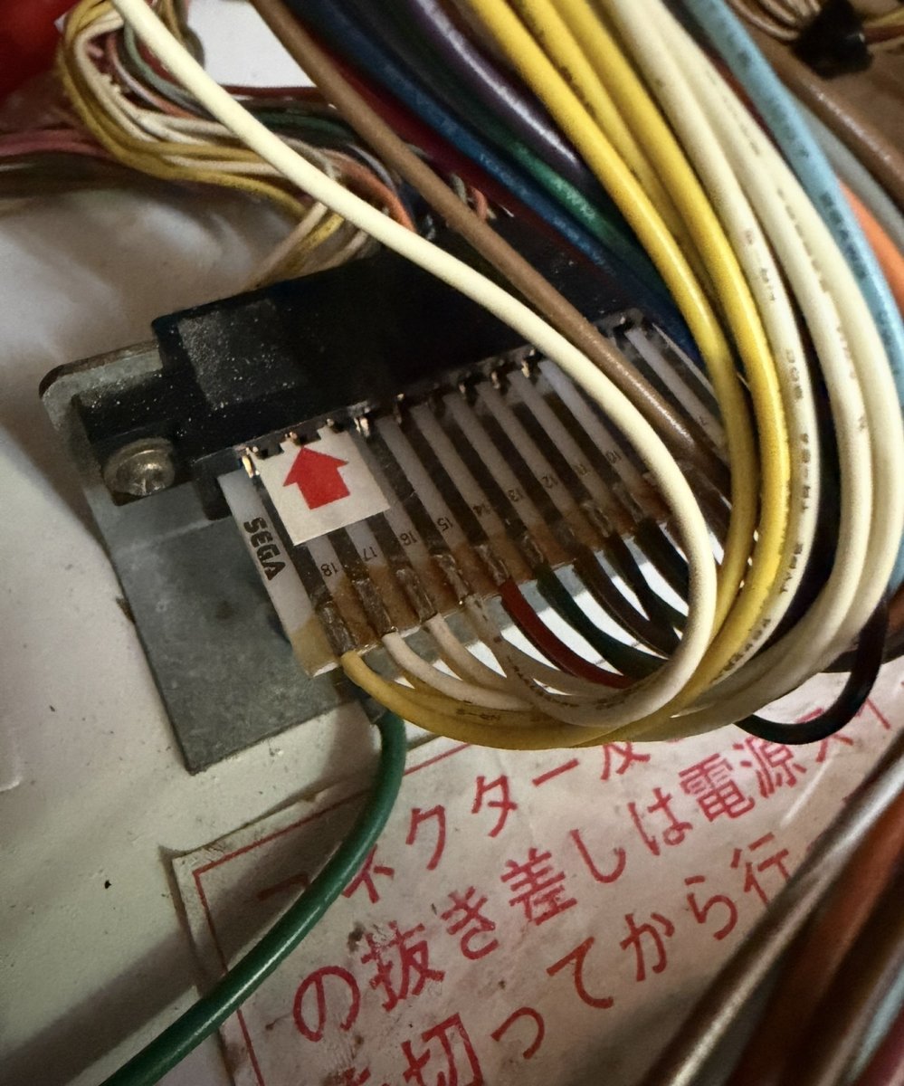 IMG_5034.jpeg