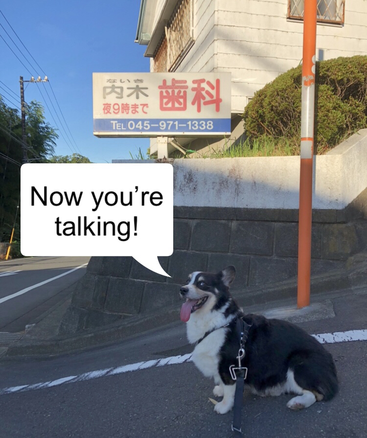IMG_8744.jpeg
