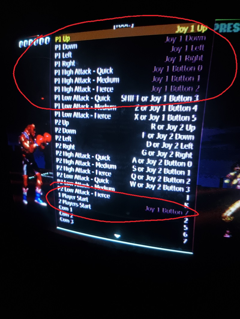 MAME config.jpg