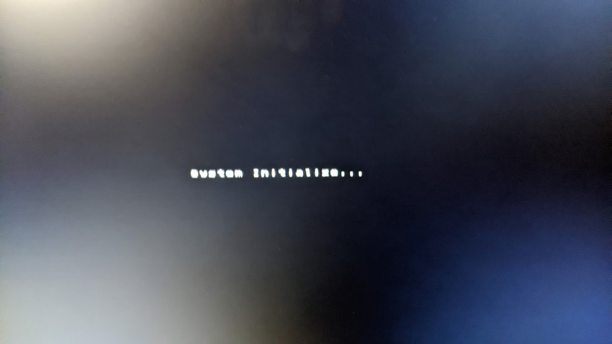 Naomi2_VirtuaStriker3_2.jpeg