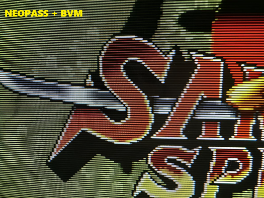 neopass-bvm-corr2.png