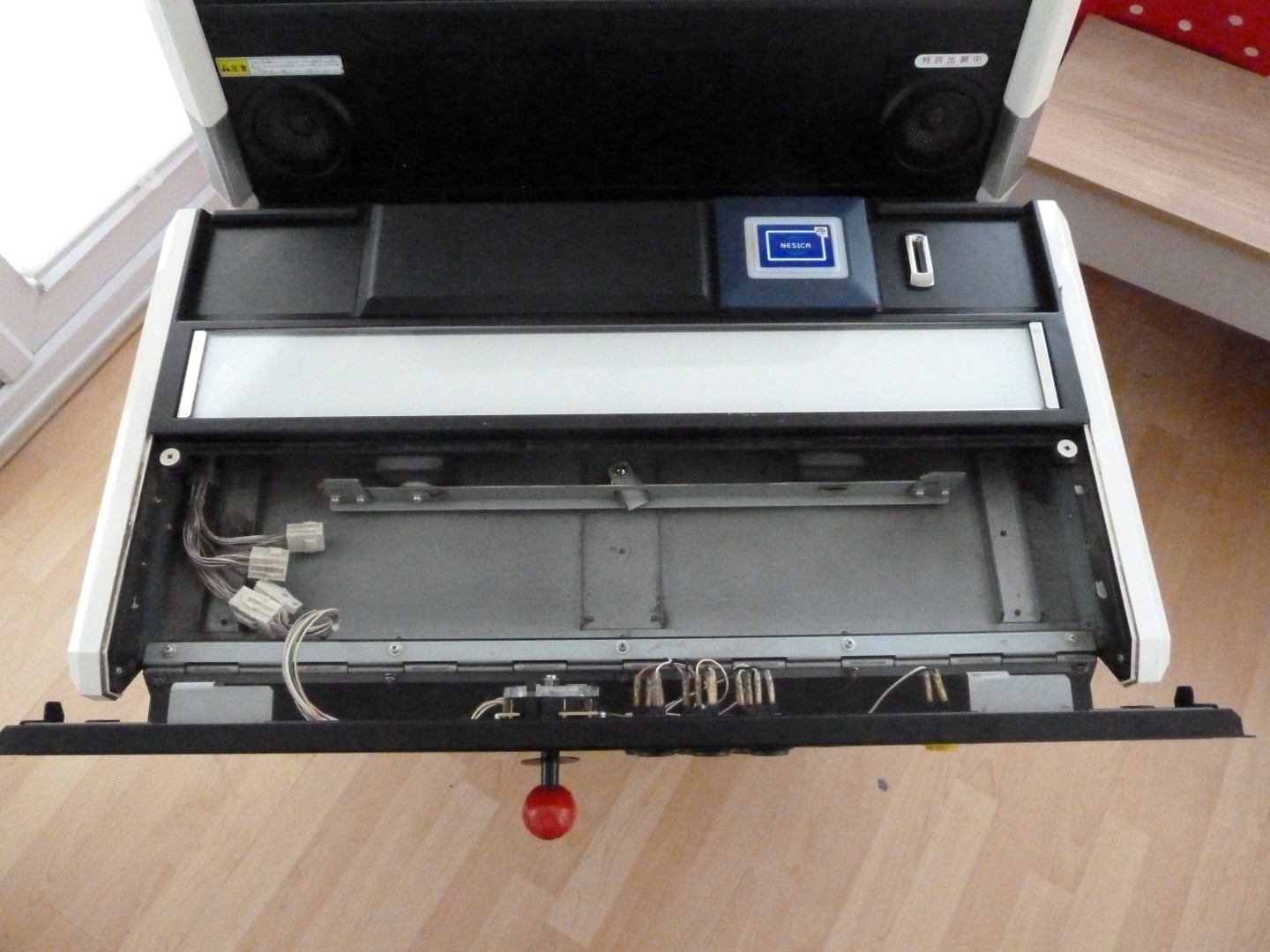 P1010411 (Large).JPG
