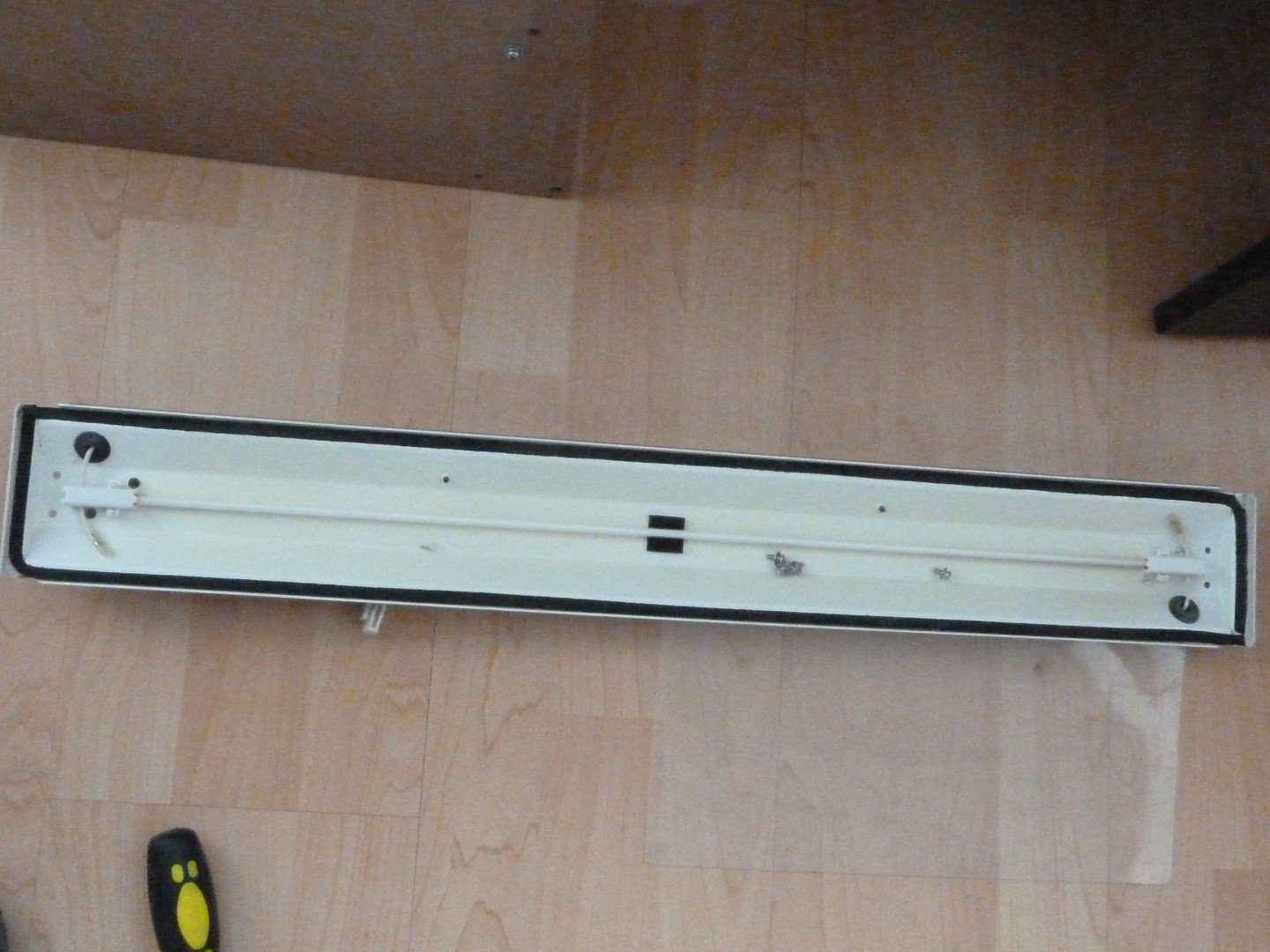 P1010468 (Large).JPG