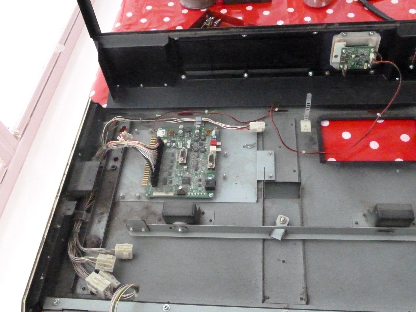 P1010469 (Large).JPG