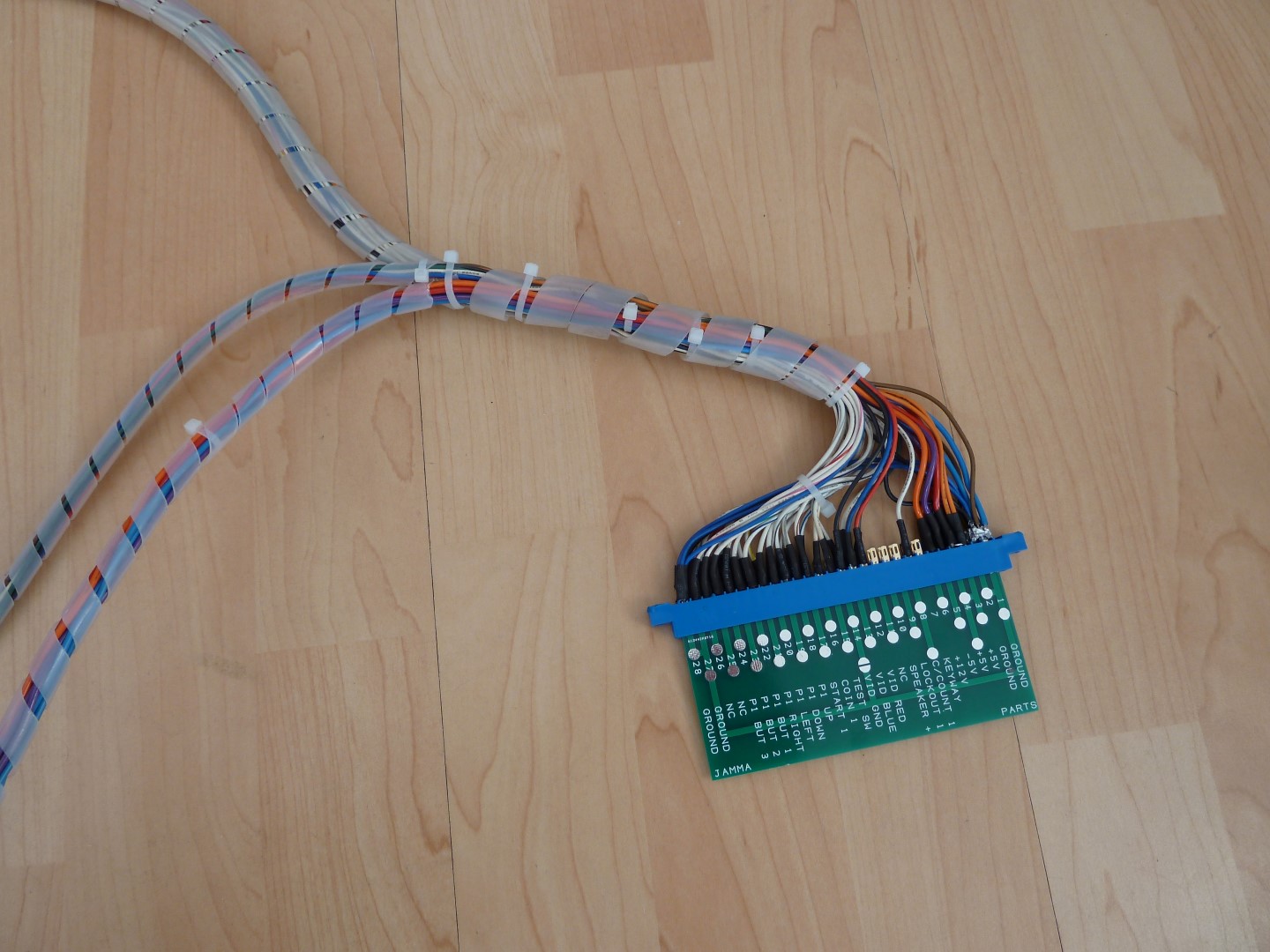 P1010554 (Large).JPG