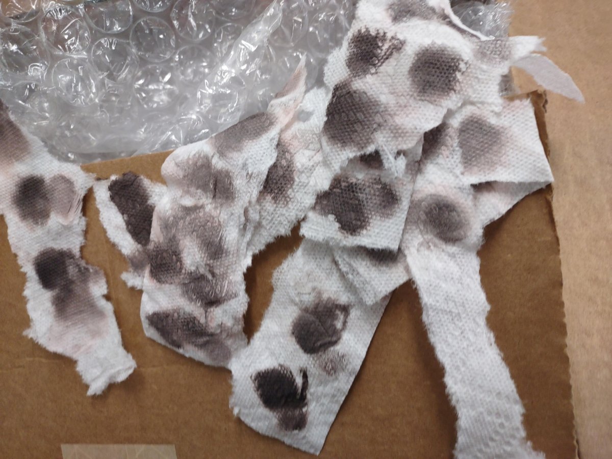 paper towels.jpg
