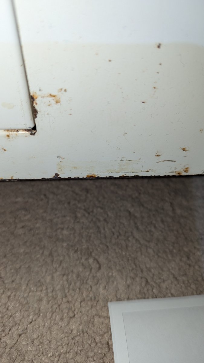 PXL_20240711_015743630.jpg