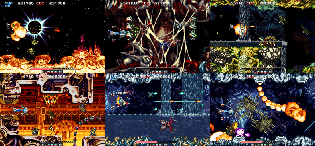 Stages collage.jpg