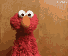 tenor (4).gif