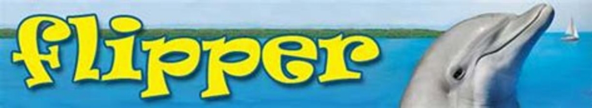 WCZwaWQ9QXBp.jpg