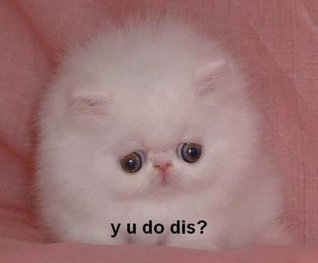 y u do dis.jpg