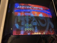 IMG_6538.jpg