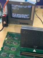 IMG_4142.jpeg