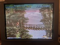 IMG_8719.jpeg
