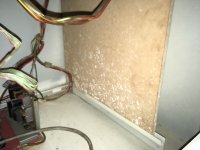 6FDACCAA-17CD-46AD-975A-38B28828D602.jpeg