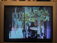 IMG_3325.jpeg