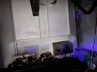 IMG_5429.jpeg