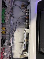 IMG_5431.jpeg