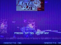 IMG_2178_Original.jpeg