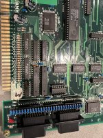 IMG_6070.jpeg