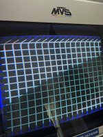 IMG_6076.jpeg