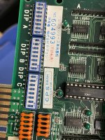 IMG_5403.jpeg