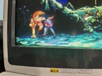 IMG_6319.jpeg IMG_6319.jpeg