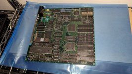 PXL_20240207_212921715.jpg