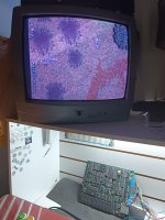 f68d6472-f60c-46aa-bbe1-34e8da3560c6.jpeg