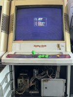IMG_6559.jpeg