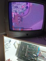 6ec481c3-f14f-4f0e-b656-689ee0d1e7c3.jpeg