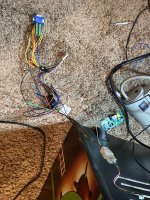 IMG_3137.jpeg