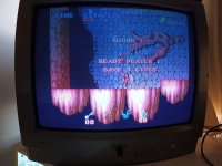 d0ac8603-b32a-4437-b7a6-db892de6e9d3.jpg